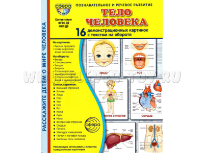 Демонстрационные картинки СУПЕР в папке. Тело человека (16 шт.)