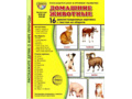 Демонстрационные картинки СУПЕР в папке. Домашние животные (16 шт.)