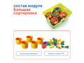 Наше сельское хозяйство с РобоМышью (4 модуля)