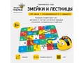 Набор по математике, алгоритмике и начальному программированию Тип № 2 (на 6 учеников)